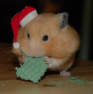 Copito Hamster Feliz Navidad 2009